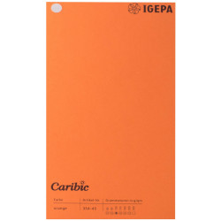 Spalvotas popierius Caribic Nr.45 170g/m2 65x92 (matinė oranžinė) 125 lapų pakuotėje