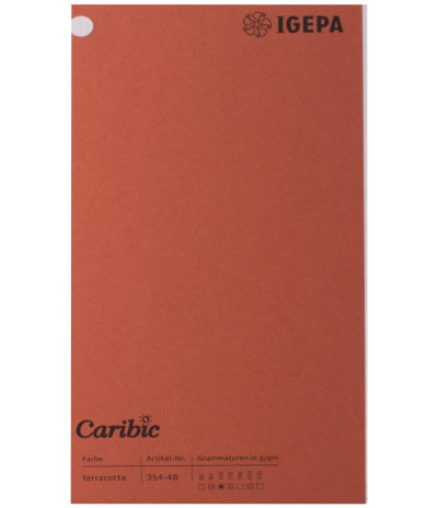 Spalvotas popierius Caribic Nr.48 170g/m2 65x92 (terakota) 125 lapų pakuotėje