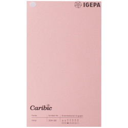 Spalvotas popierius Caribic Nr.50 170g/m2 65x92 cm (rožinė)