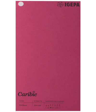 Spalvotas popierius Caribic Nr.66 170g/m2 65x92 (t.avietinė sp.) 125 lapų pakuotėje