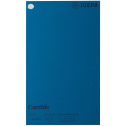 Spalvotas popierius Caribic Nr.74 170g/m2 65x92 cm (t.mėlyna)
