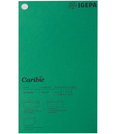 Spalvotas  popierius  Caribic Nr.87 170g/m2 65x92 (žalia) 125 lapų pakuotėje