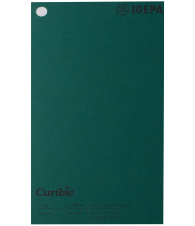 Spalvotas popierius Caribic Nr.89 170g/m2 65x92 (t.žalia sp) 125 lapų pakuotėje