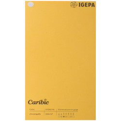 Spalvotas popierius Caribic Nr.37 250g/m2 65x92 cm (geltona)