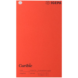 Spalvotas popierius Caribic Nr.63 250g/m2 65x92 cm (šv.raudona)