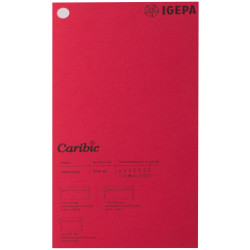 Spalvotas popierius Caribic Nr.67 250g/m2 65x92 cm (t.raudona sp.)