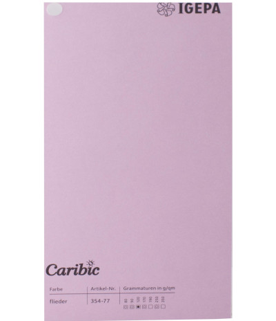 Spalvotas popierius Caribic Nr.77 250g/m2 65x92 (alyvinė) 100 lapų pakuotėje