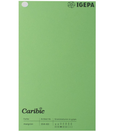 Spalvotas popierius Caribic Nr.83 250g/m2 65x92 (salotinė) 100 lapų pakuotėje