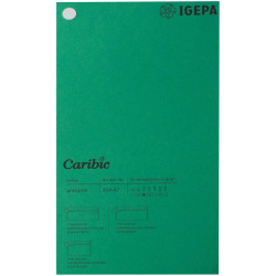 Spalvotas popierius Caribic Nr.87 250g/m2 65x92 cm (žalia)