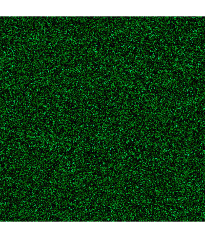 Terminė plėvelė Poli-flex Pearl Glitter 455 Green, blizgučiai